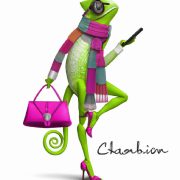 Fashion Chameleon: Effortlessly Stylish in Every Outfit