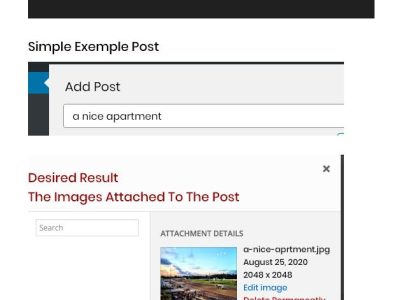 Fashion as a Canvas: Celebrating Life and Expressing Gratitude Through Style