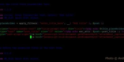 Embodying Elegance: Exploring the Poise and Modern Sophistication of a Timeless Fashion Icon