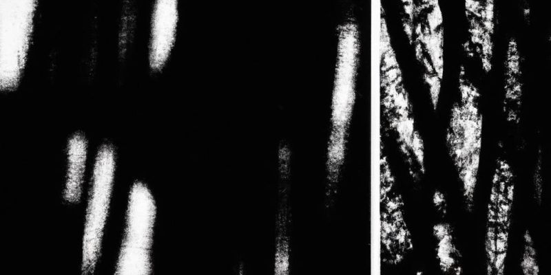 Threads of Passion: How Fashion Transformed from Hobby to Heartfelt Calling